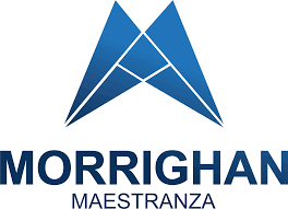 Logo morrighan